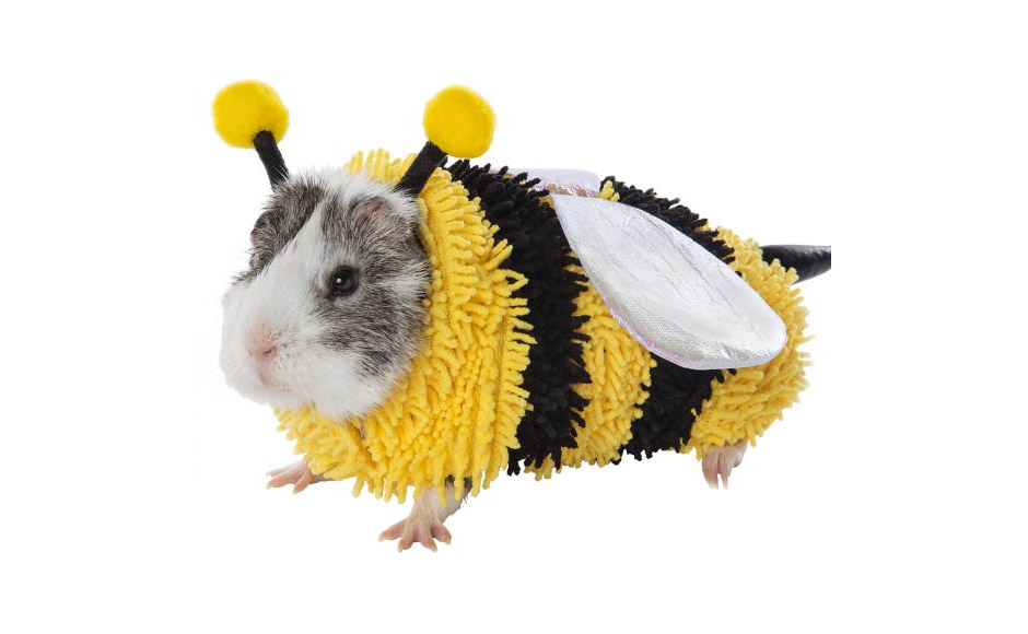 Hamster Bee Costume - Bee Halloween costume for hamster guinea pig or mouse