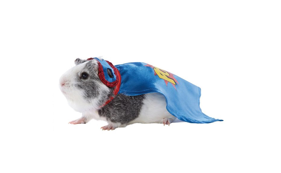 Hamster Super hero Costume - Super Hero Halloween costume for hamster guinea pig or mouse
