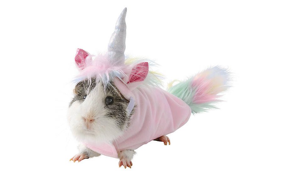 Hamster Unicorn Costume - Unicorn Halloween costume for hamster guinea pig or mouse