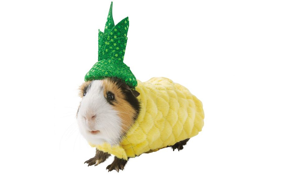 Hamster Pineapple Costume - Pineapple Halloween costume for hamster guinea pig or mouse