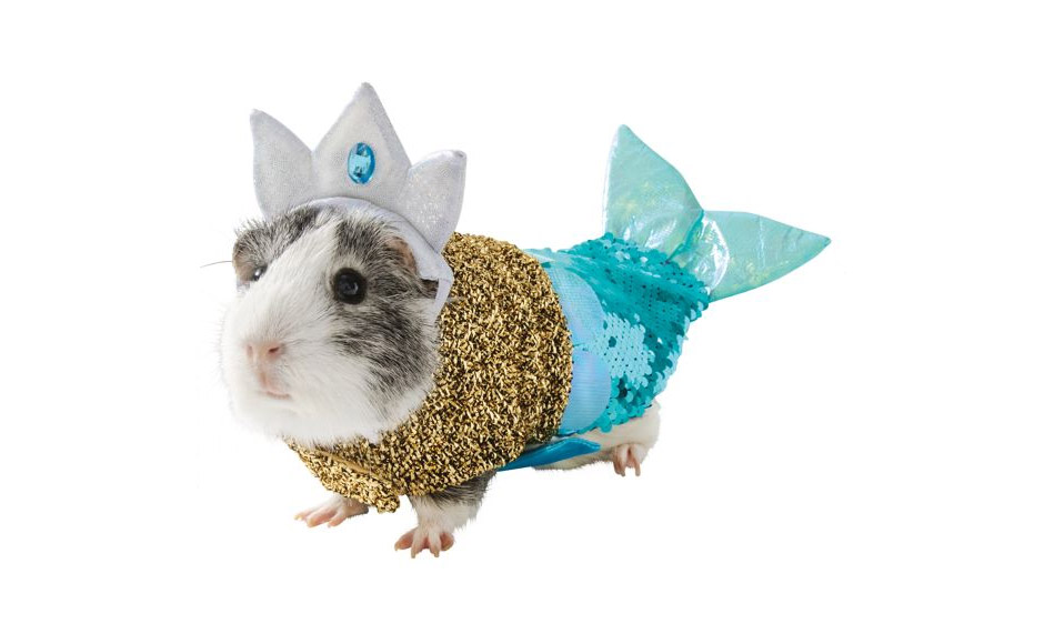 Hamster Mermaid Costume - Mermaid Halloween costume for hamster guinea pig or mouse