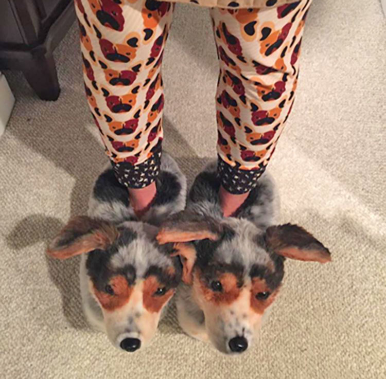 Dog look alike on sale slippers