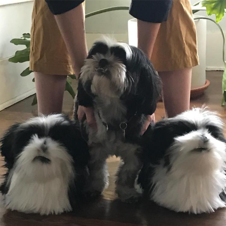 custom clones dog slippers