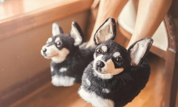 Slippers That Look Just Like Your Dog Or Cat