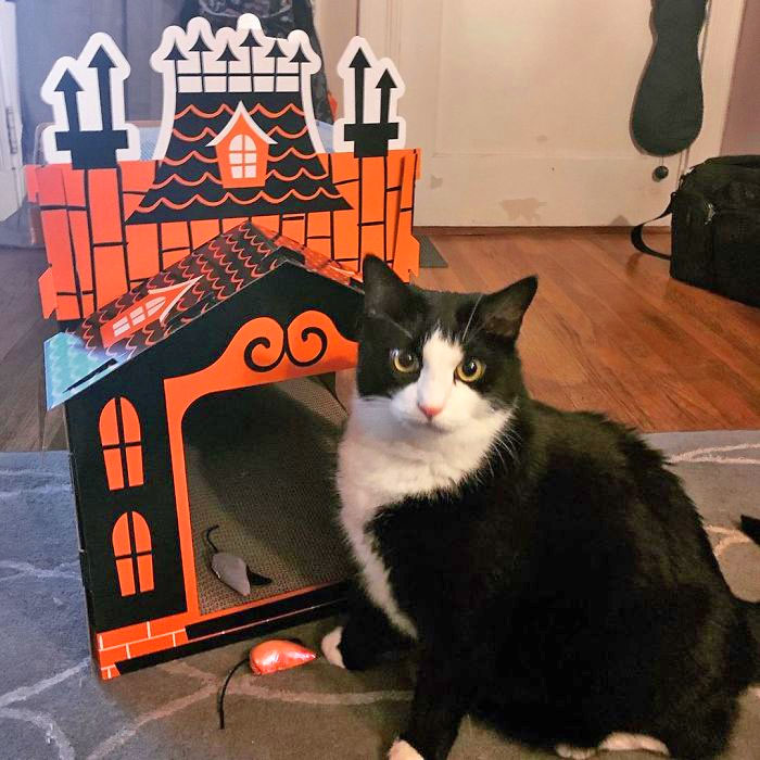 Halloween Cat Mansion