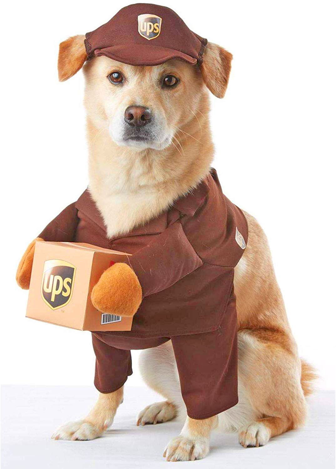 UPS Dog Costume