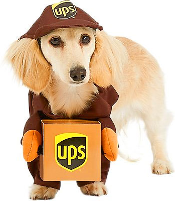 ups delivery man costume