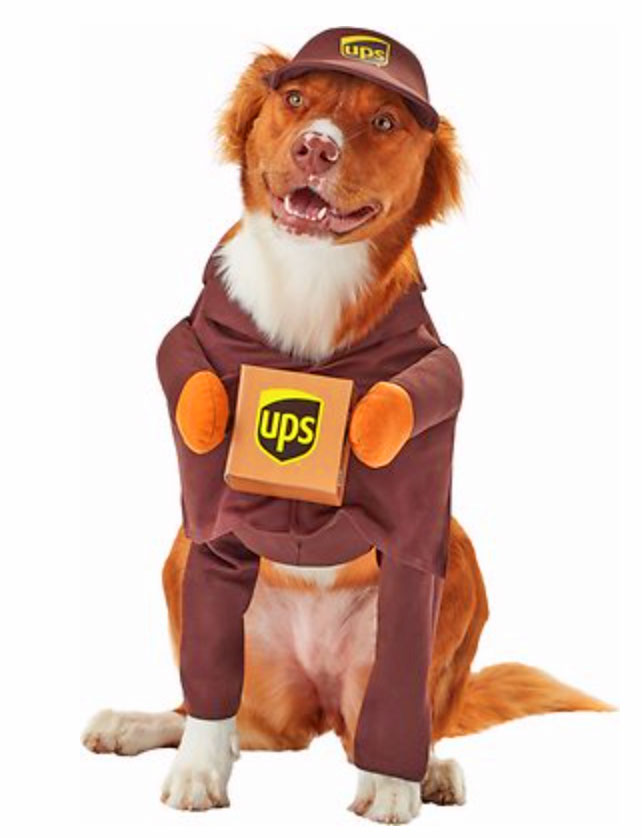 Ups dog hot sale outfit