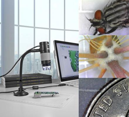 Plugable 250x Digital USB Microscope with Observation Stand