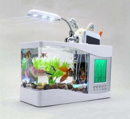 This USB Powered Mini Aquarium Lets You Keep Fish Right On Your Desk At Work
