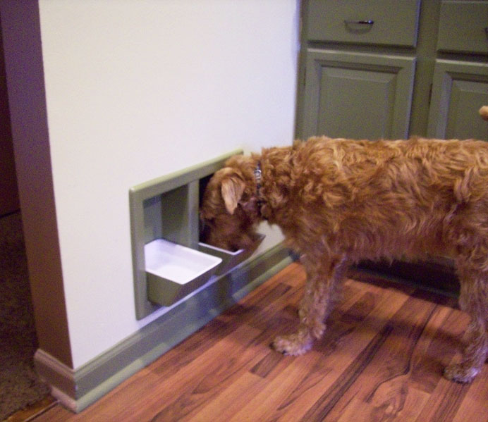 Wall Mounted Dog Food and Water Bowls