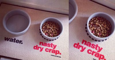 Water / Nasty Dry Crap Dog Mat