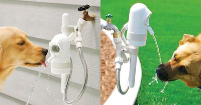 WaterDog: A Motion Sensing Outdoor Dog Water Fountain