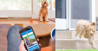 Let Your Dog Out Remotely Through Your Sliding Door With This Genius Gadget