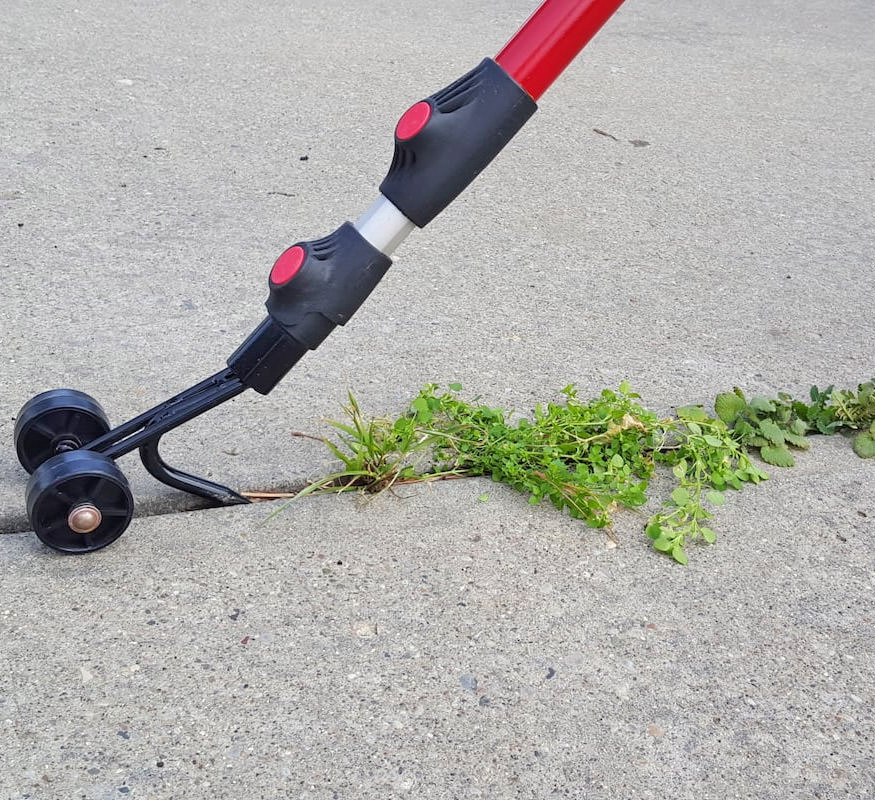 Weed Snatcher Rolling Tool Easily Removes Weeds From Cracks