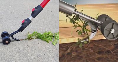 Weed Snatcher Rolling Tool Easily Removes Weeds From Cracks