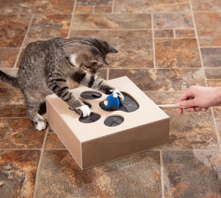 This Whack-A-Mouse Cat Toy Will Keep Your Kitties Entertained For Hours