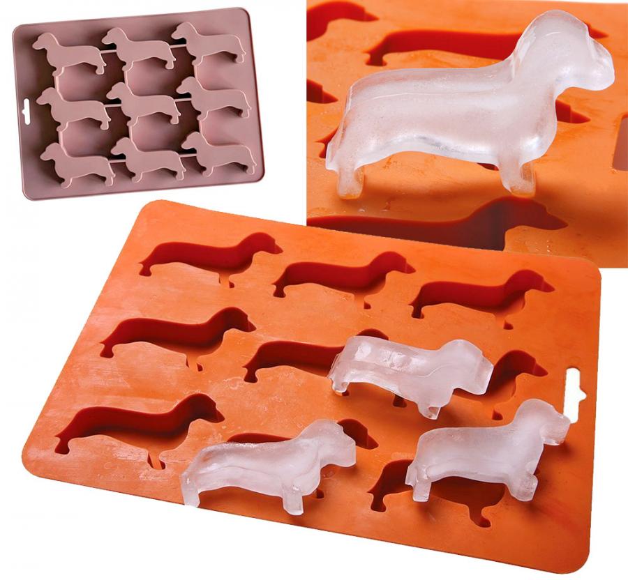 wiener dog floaties