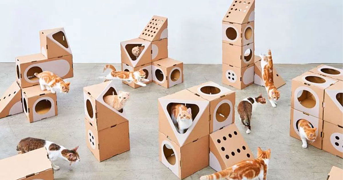 Cat Human - Playground