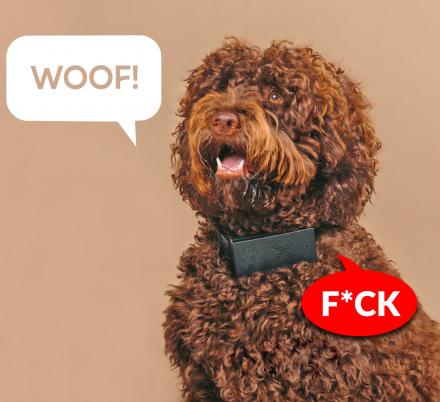 You Can Now Get a Cursing Dog Collar That Will Cuss Every-time Your Dog Barks