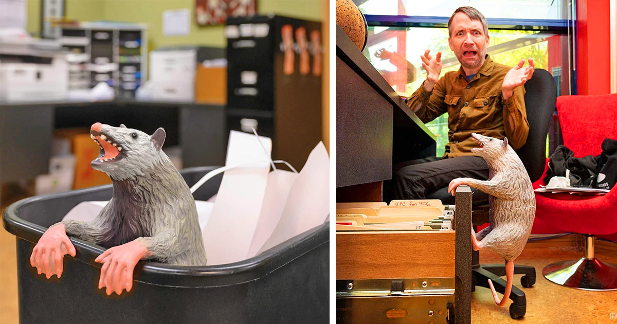 This Office Trash Possum Has Posable Paws That Lets Him Hang Out Anywhere