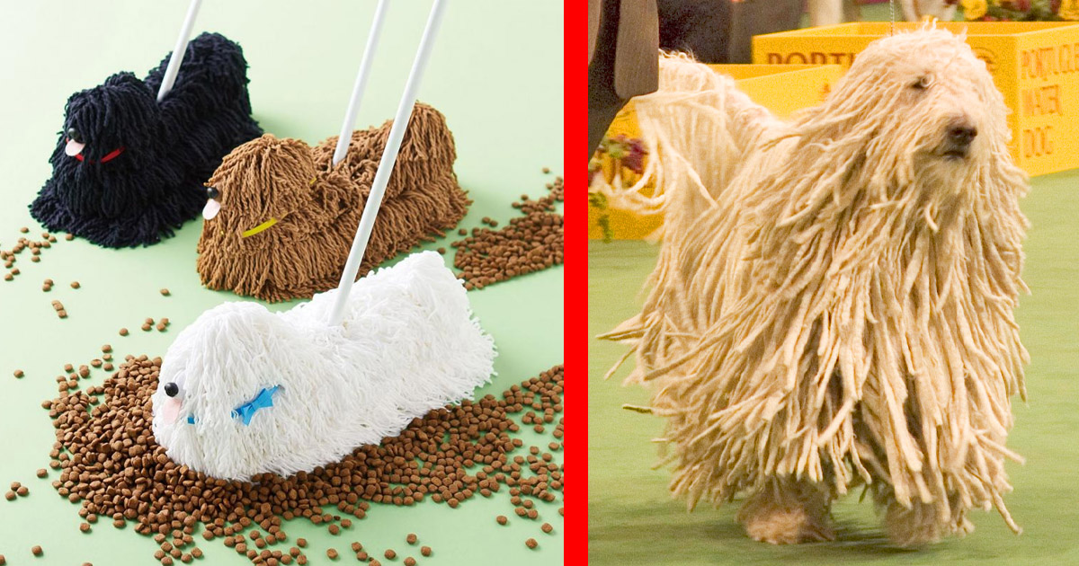 You Can Now Get a Mop That Looks Like One Of Those Dogs That Look Like a Mop