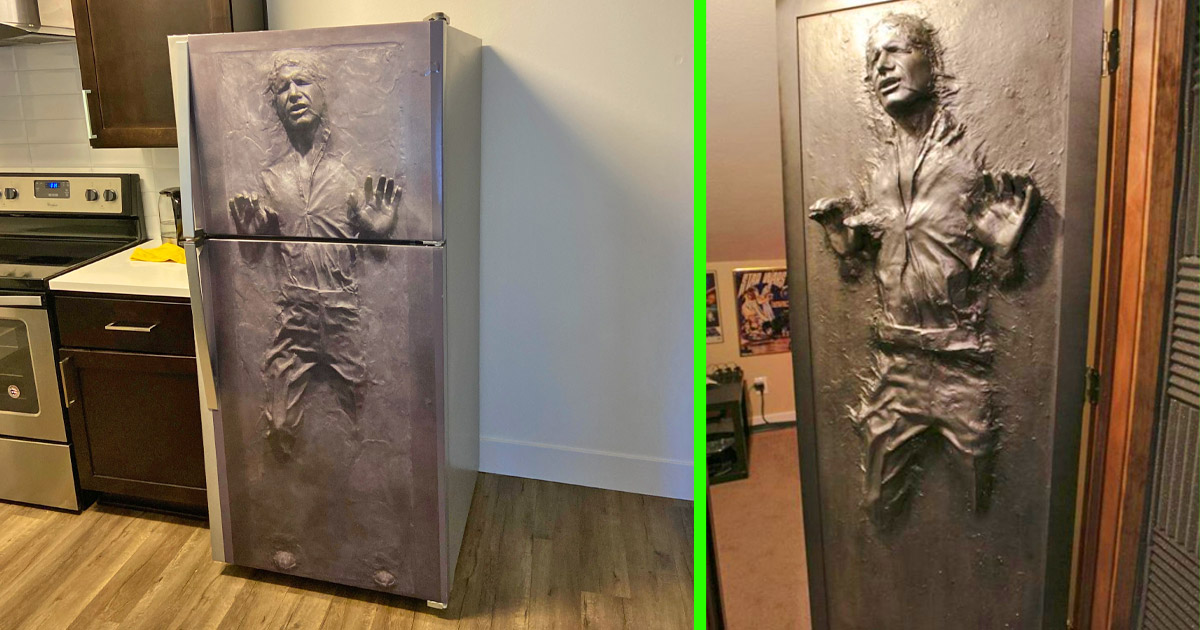 You Can Now Get a Wrap That Turns Your Fridge Or Door Into Han Solo Stuck  In Carbonite