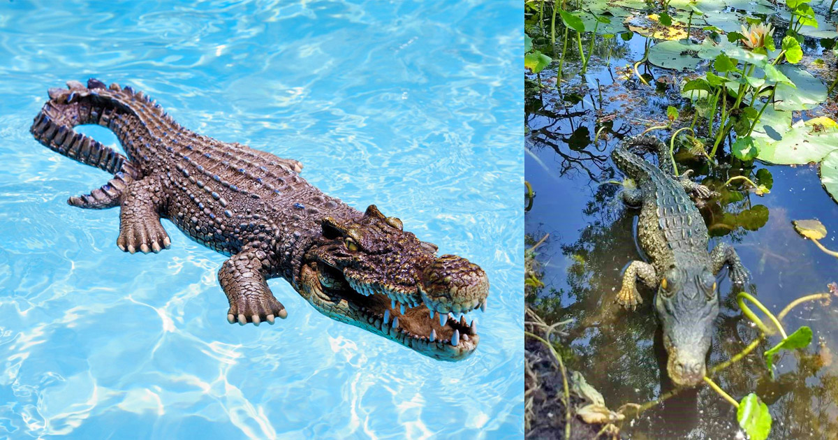 You Can Now Get an Incredibly Realistic Life-size Crocodile Pool Float