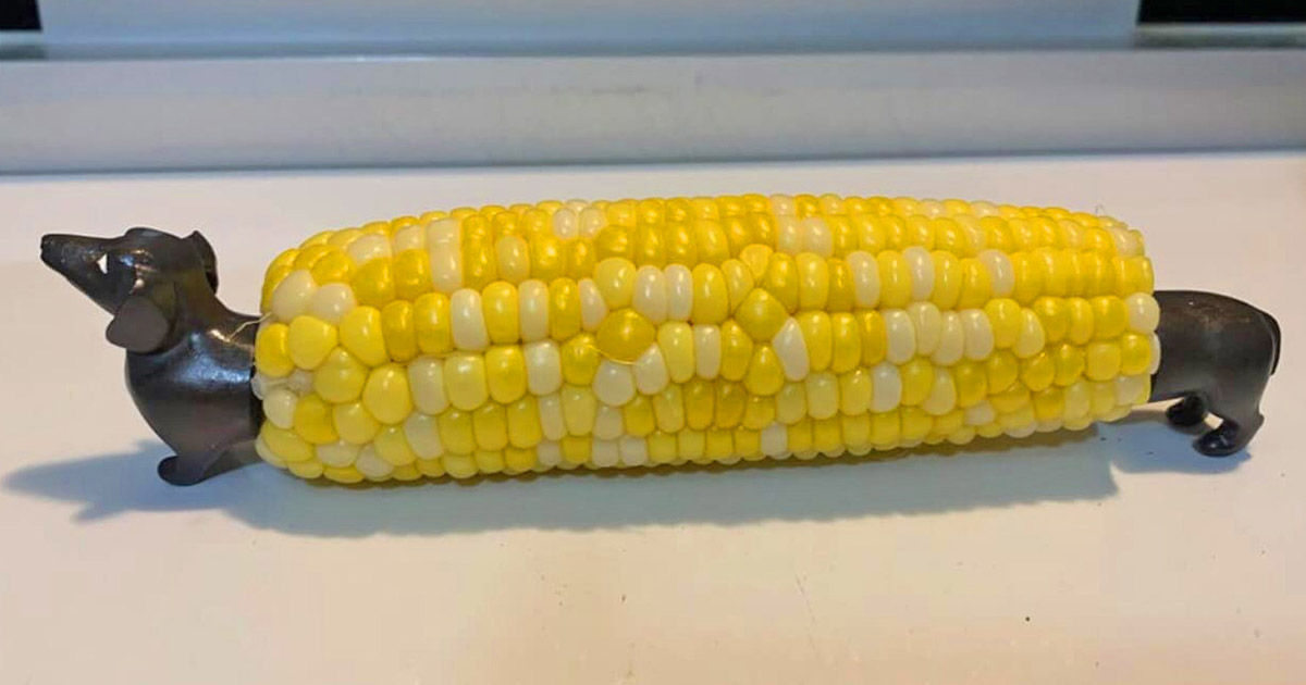 Throwing a couple of cobs of corn on the grill is an American classic, and ...