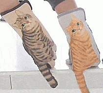 You Can Wag Kitty's Tail While Swiping Left And Right With These Cat Tail Gloves