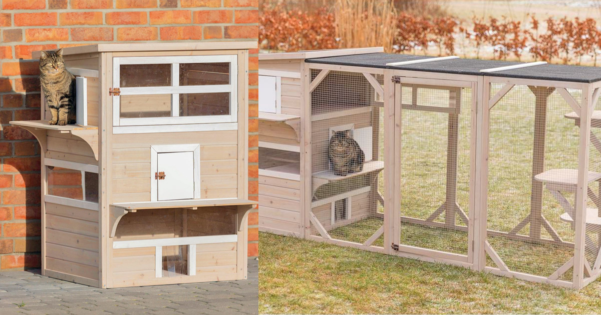 Your Cat Can Now Have Their Own Luxury Apartment