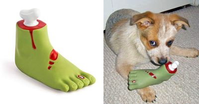 This Zombie Foot Dog Toy Is the Perfect Halloween Toy For Your Dog