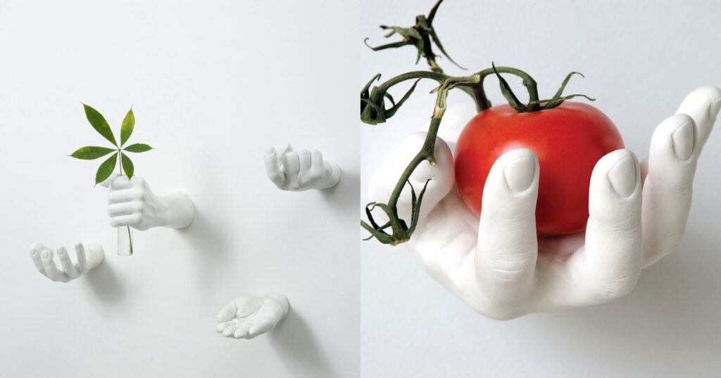 Side by side collage of Areaware Hand Hooks holding a leaf vase and tomato