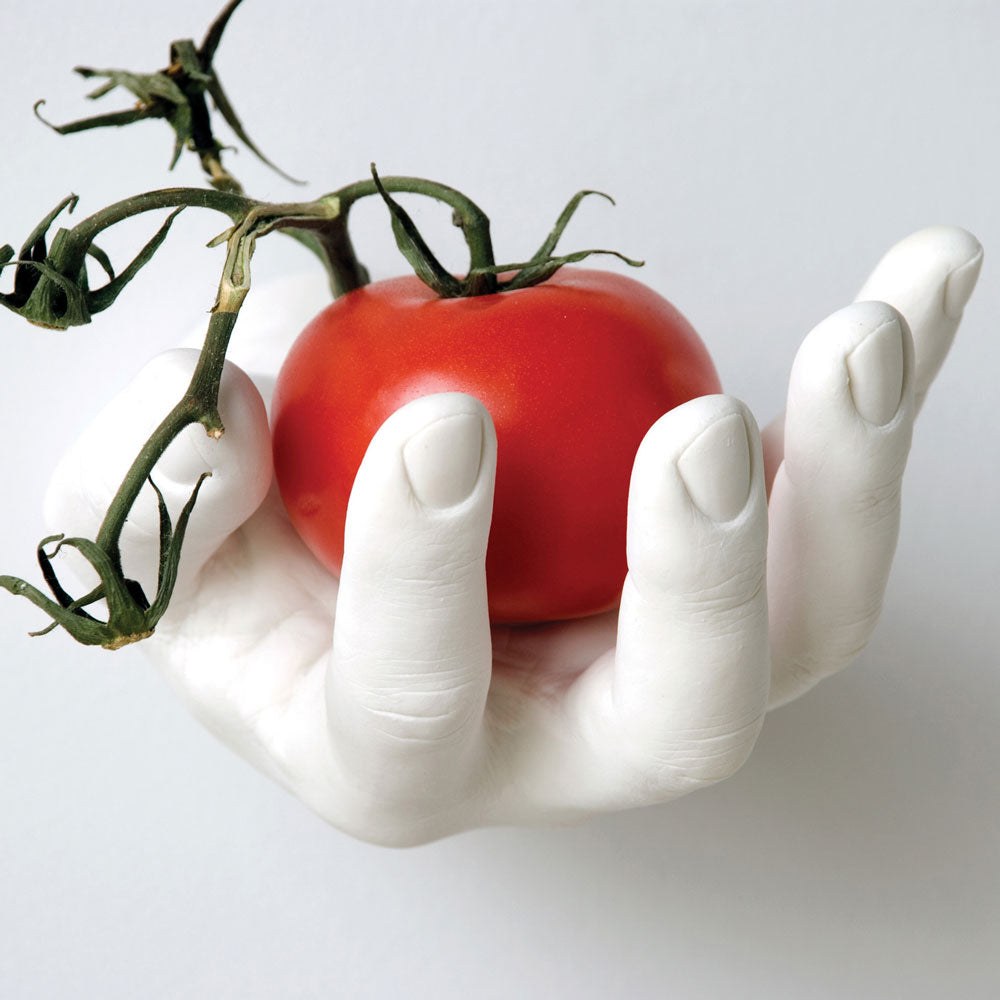 Areaware Grab Hand Hook holding a tomato