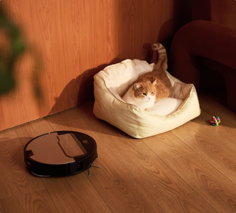 Roborock Saros Z70 cleaning in a room near a cat bed