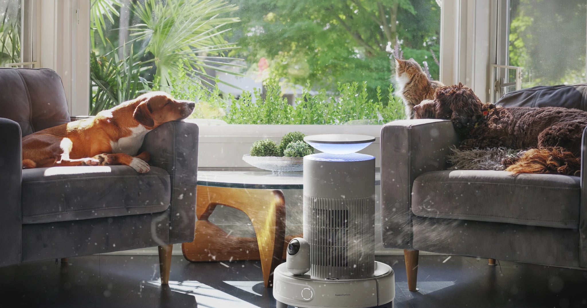 SwitchBot K20+ Pro carrying an air purifier near pets in a living room
