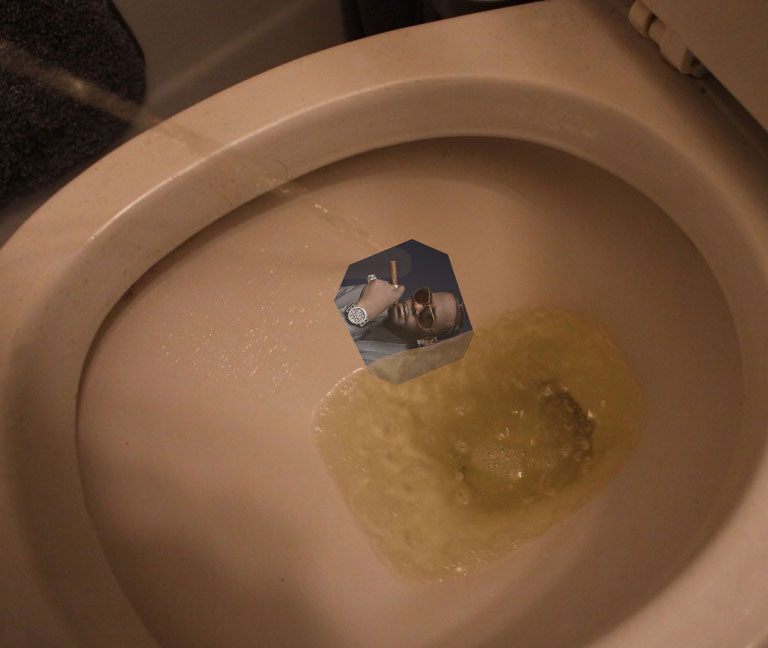Toilet Target Stickers