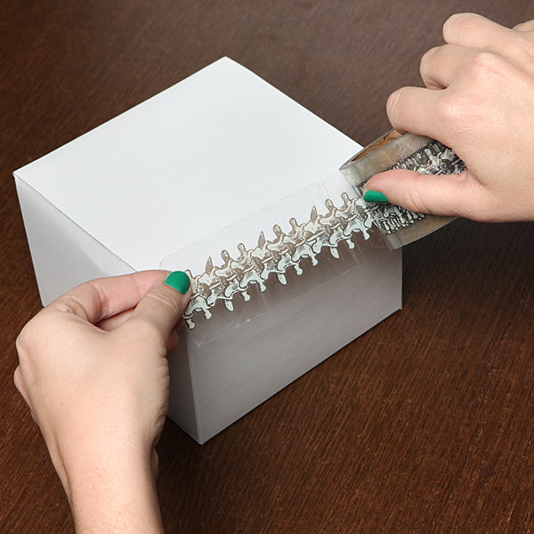 This Is Spinal Tape