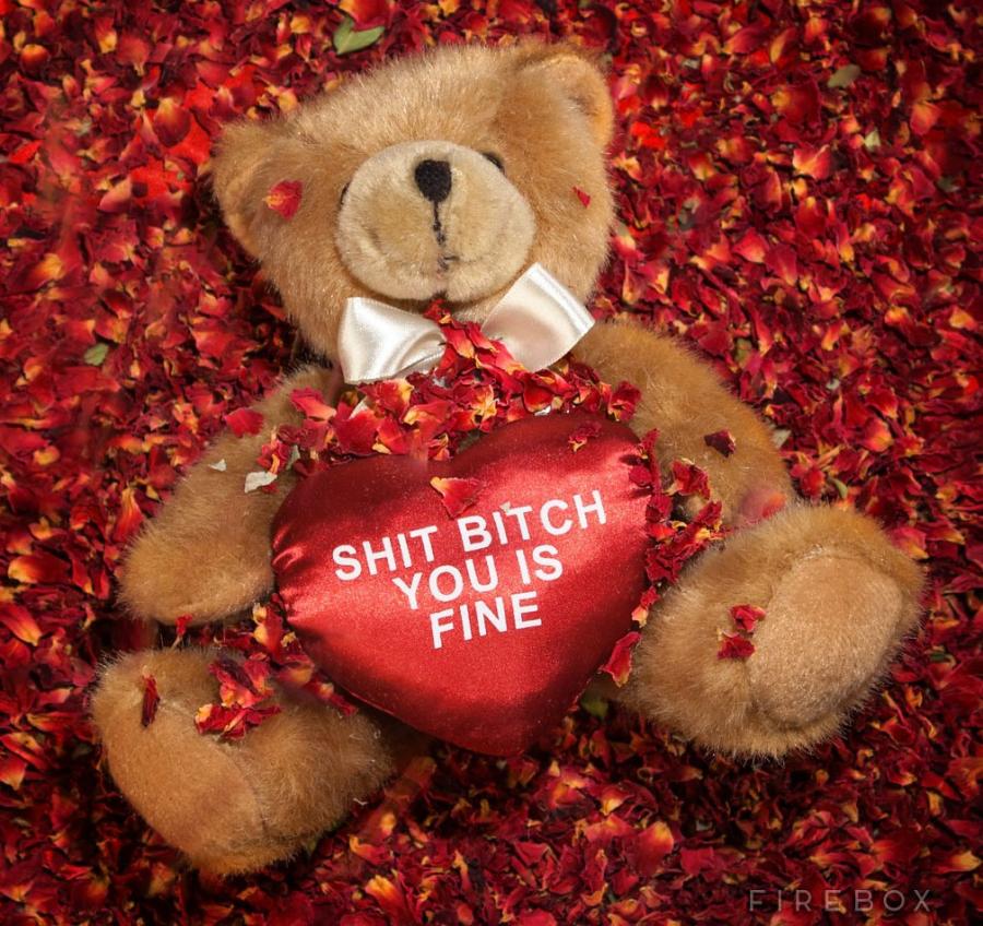 Shit Bitch You Is Fine Teddy Bear