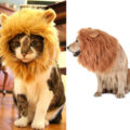 You Can Now Turn Your Dog Or Cat Into a Lion With These Lion Mane Pet Wigs