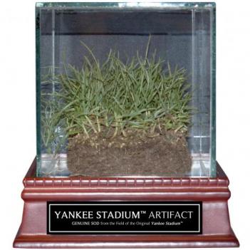 Original Yankee Stadium Freeze-Dried Grass
