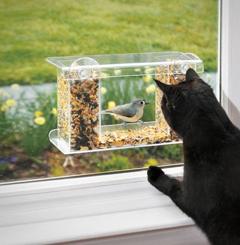This Window Bird Feeder Has One Way Mirror That Lets You Easily Watch Birds Feed