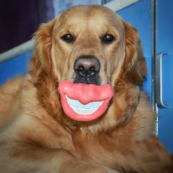 This Mouth Shaped Dog Toy Gives Your Pooch Big Lips and a Big Funny Smile -