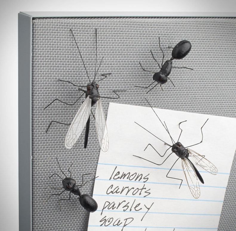 Insect Push Pins