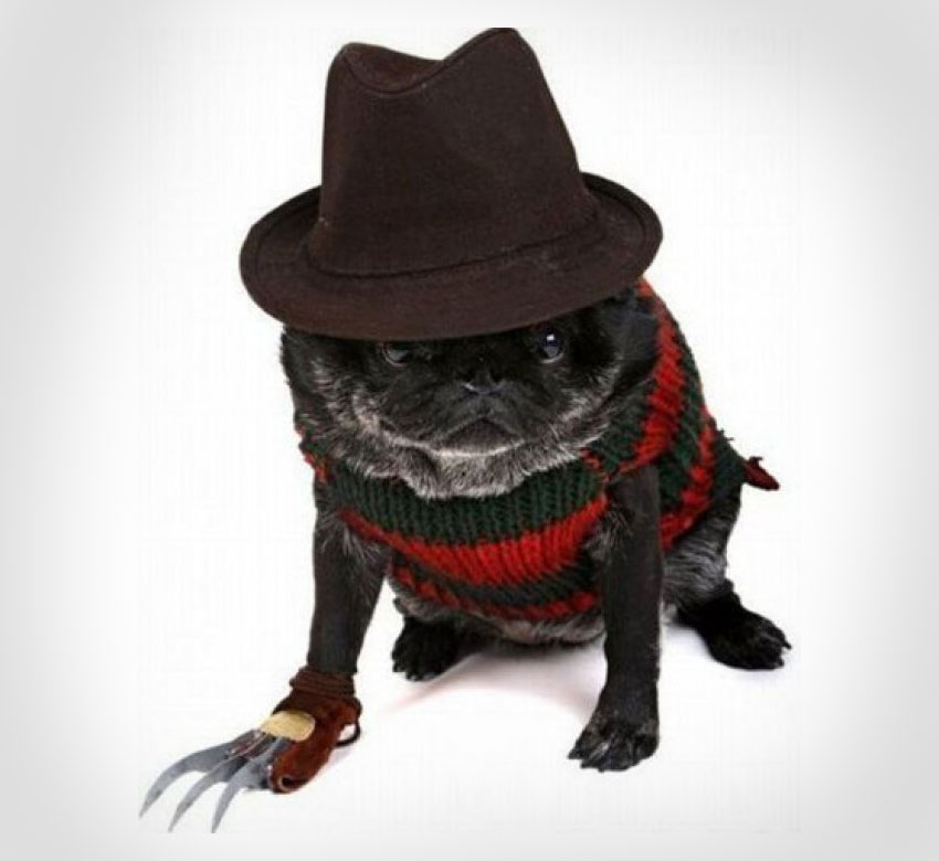 Freddy Krueger Dog Costume