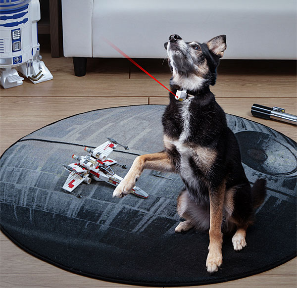 Dog Collar With Laser Pointer