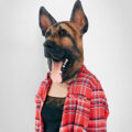 Realistic Dog Masks