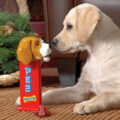 There's Now a Giant PEZ Dispenser For Your Dog That Dispenses Bone Shaped Dog Treats