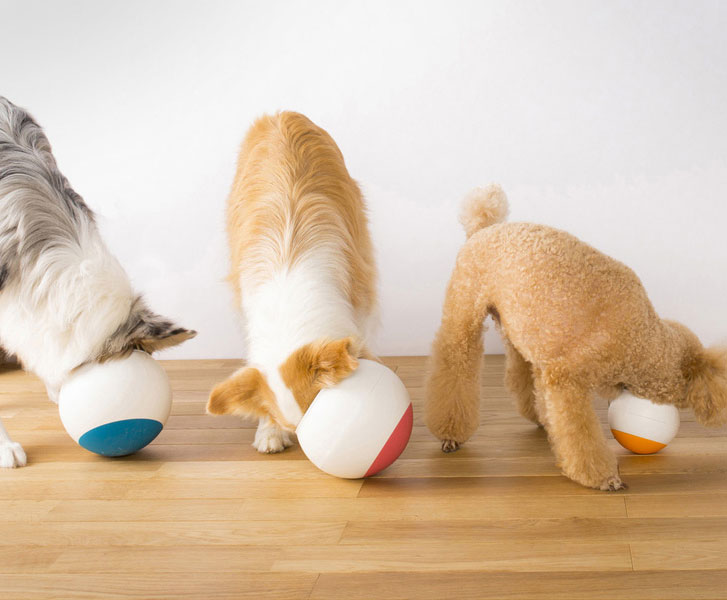 The Oppo Food Ball Slows Down Your Dogs Eating