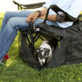 The Wrapsit Converts Your Lawn Chair Into A Pet Crate